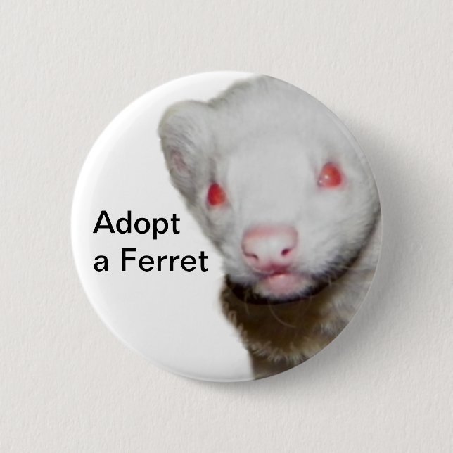 Albino Ferret Picture Button (Vorderseite)