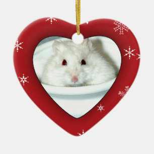 Albino-Hamster-Foto Keramik Ornament