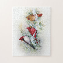 Albino Kardinal Besuche Jigsaw Puzzle