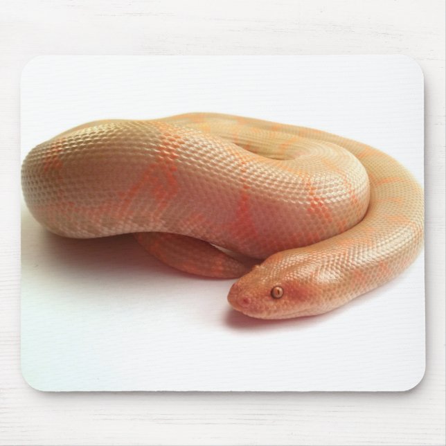 Albino Kenyansand-Boa mousepad (Vorne)
