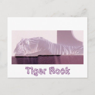 Albino Tiger Postkarte