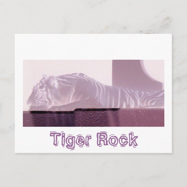 Albino Tiger Postkarte (Vorderseite)