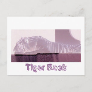 Albino Tiger Postkarte