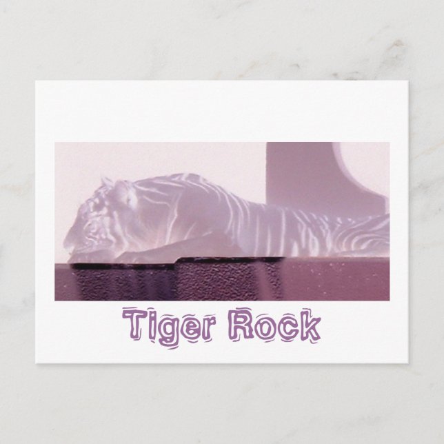 Albino Tiger Postkarte (Vorderseite)