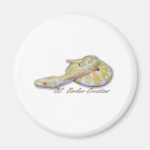 Albinohatchlings-Ball-Pythonschlange Magnet
