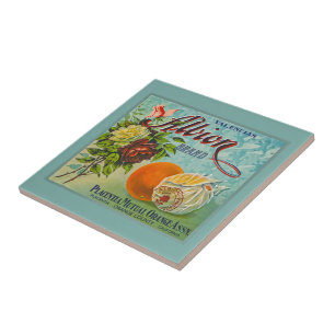 Albion Orangen Fruchtkistenetikett Fliese
