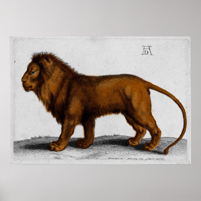 Albrecht Durer Color Engraving Lion Poster (Vorne)