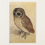 Albrecht Durer - Die Kleine Eule Planer<br><div class="desc">Albrecht Durer - The Little Owl 1506</div>