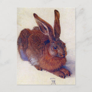Albrecht Durer - Field Hare GC Postkarte
