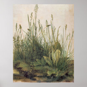 Albrecht Durer Great Piece of Turf Poster