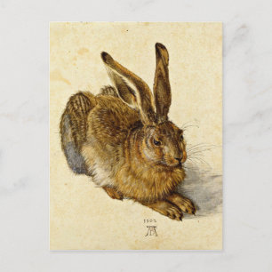 Albrecht Durer - Hare (1502) Postkarte