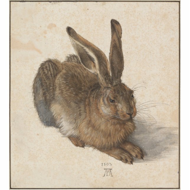 Albrecht Dürer - Hare Freistehende Fotoskulptur (Vorne)