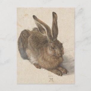 Albrecht Dürer - Hase Postkarte
