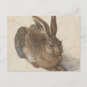 Albrecht Dürer - Hase Postkarte