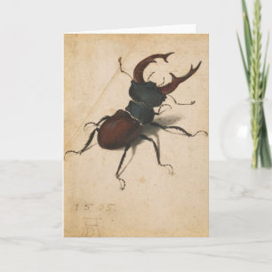 Albrecht Durer Hirschkäfer Renaissance Vintage Kun Karte