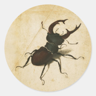 Albrecht Durer Hirschkäfer Renaissance Vintage Kun Runder Aufkleber
