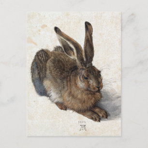 Albrecht Dürer, Junger Hase, 1502 Postkarte