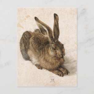 Albrecht Dürer - Junger Hase (Young Hare), 1502 Postkarte