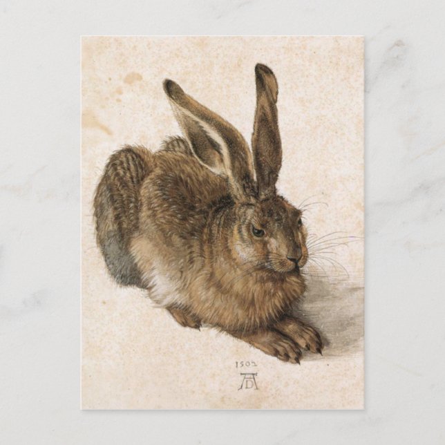 Albrecht Dürer - Junger Hase (Young Hare), 1502 Postkarte (Vorderseite)