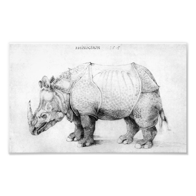 Albrecht Durer Rhinoceros Fotodruck (Vorne)