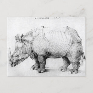 Albrecht Durer Rhinoceros Postcard Postkarte