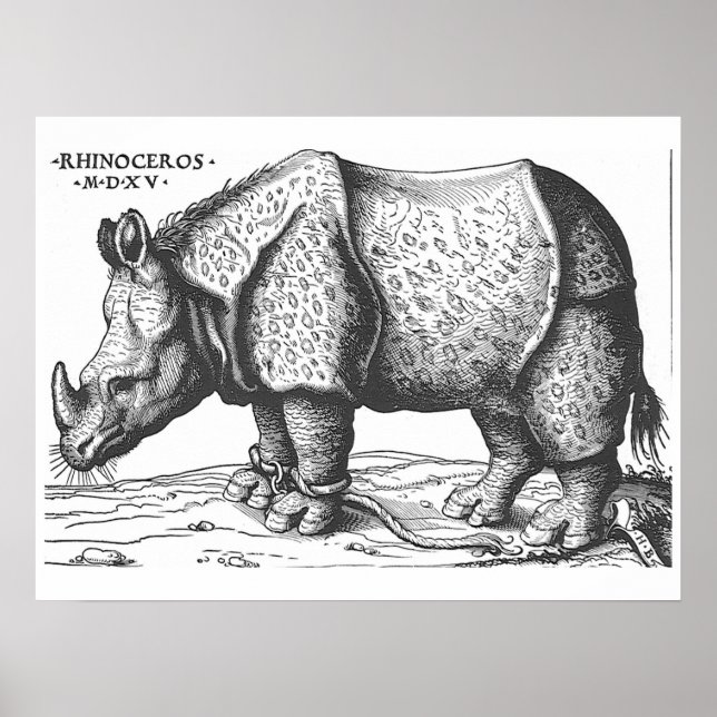 Albrecht Durer - Rhinoceros Poster (Vorne)
