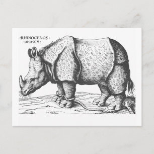 Albrecht Durer - Rhinoceros Postkarte