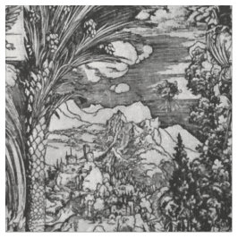 Albrecht Dürer Schwarzweiss Stoff