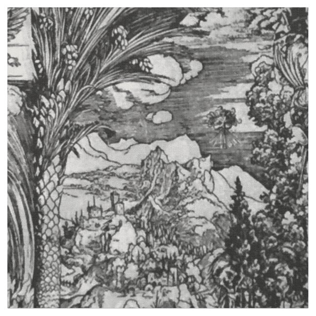 Albrecht Dürer Schwarzweiss Stoff (Nahaufnahme)