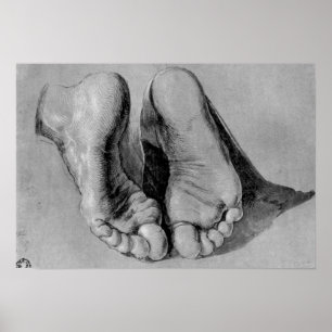 Albrecht Durer Sketch Poster