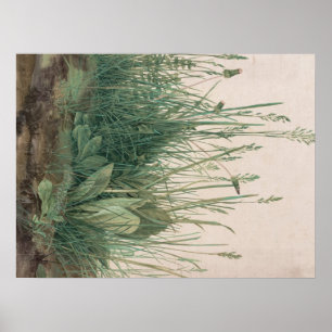 Albrecht Durer Sketch Poster