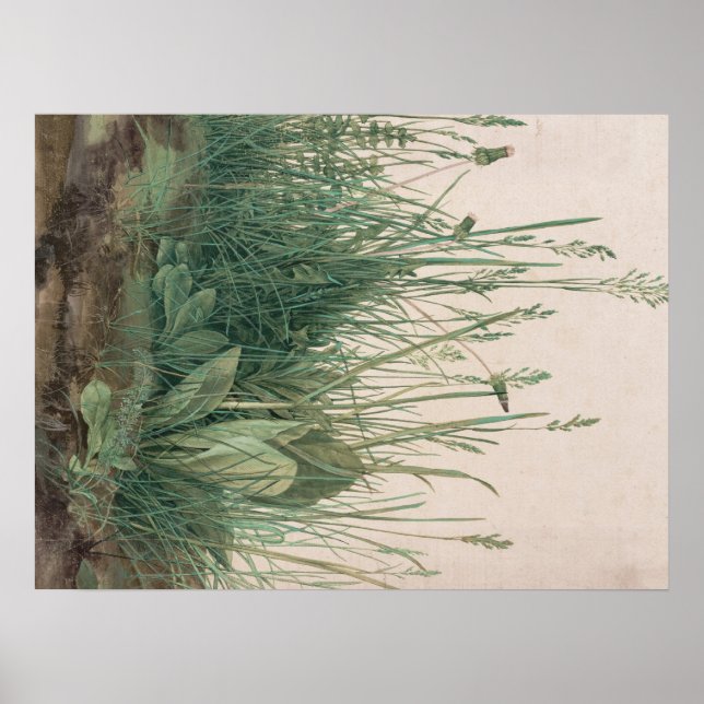 Albrecht Durer Sketch Poster (Vorne)