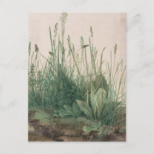 Albrecht Durer Sketch Postkarte