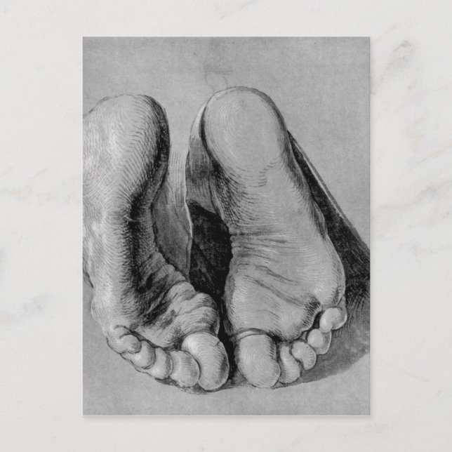 Albrecht Durer Sketch Postkarte (Vorderseite)