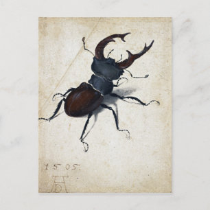 Albrecht Dürer Stag Beetle Postkarte