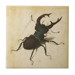 Albrecht Durer Stag Beetle Renaissance Zeichnend K Fliese