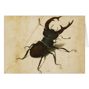 Albrecht Durer Stag Beetle Vintage Kunst der Renai
