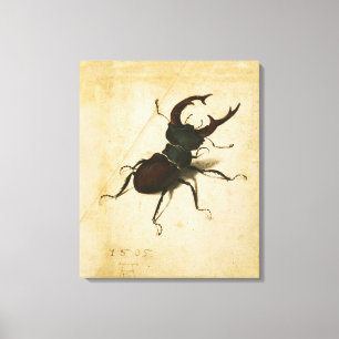 Albrecht Durer Stag Beetle Vintage Kunst der Renai Leinwanddruck
