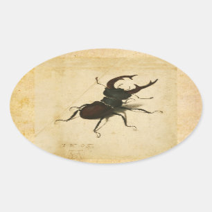 Albrecht Durer Stag Beetle Vintage Kunst der Renai Ovaler Aufkleber