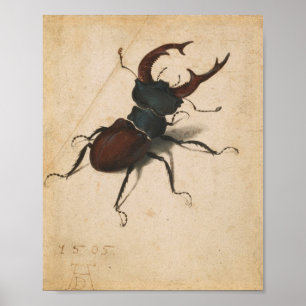 Albrecht Durer Stag Beetle Vintage Kunst der Renai Poster