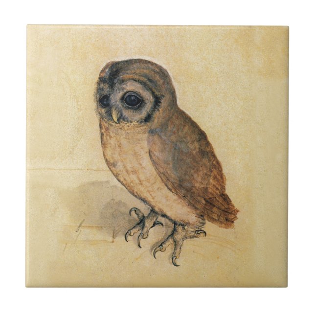 Albrecht Durer The Little Owl Fliese (Vorderseite)