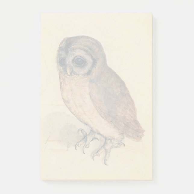 Albrecht Durer The Little Owl Post-it Klebezettel (Vorderseite)