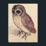 Albrecht Durer The Little Owl Postcard Postkarte<br><div class="desc">Albrecht Durst The Little Owl Postcard. Painting on paper from 1506. One of the most famous owl painting in Western art, Northern Renaissance artist Albrecht Durs The Little Owl feature a little owl staring off into the distanz on a soft gouache background. A great gift for fans of Albrecht Dures,...</div>