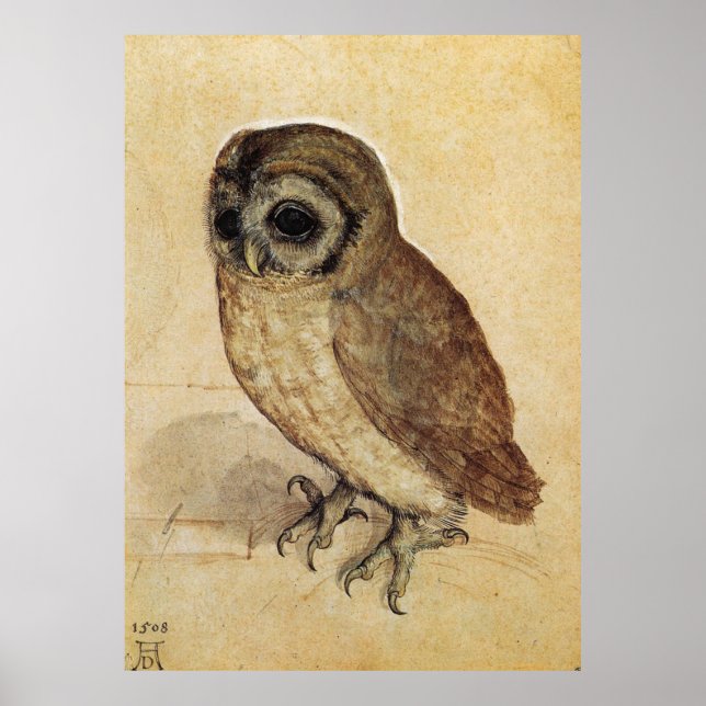 Albrecht Durer The Little Owl Poster (Vorne)