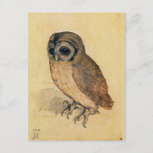 Albrecht Durer The Little Owl Postkarte