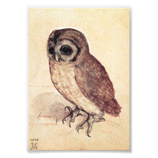 Albrecht Durer The Little Owl Print Fotodruck (Vorne)
