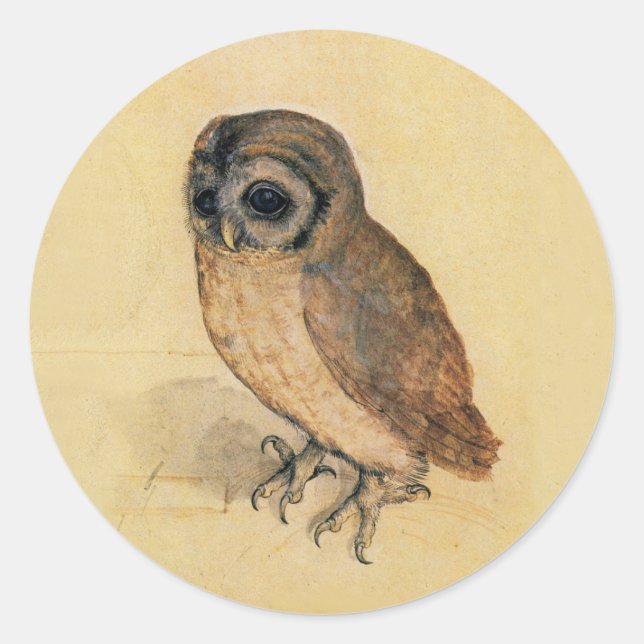Albrecht Durer The Little Owl Runder Aufkleber (Vorderseite)