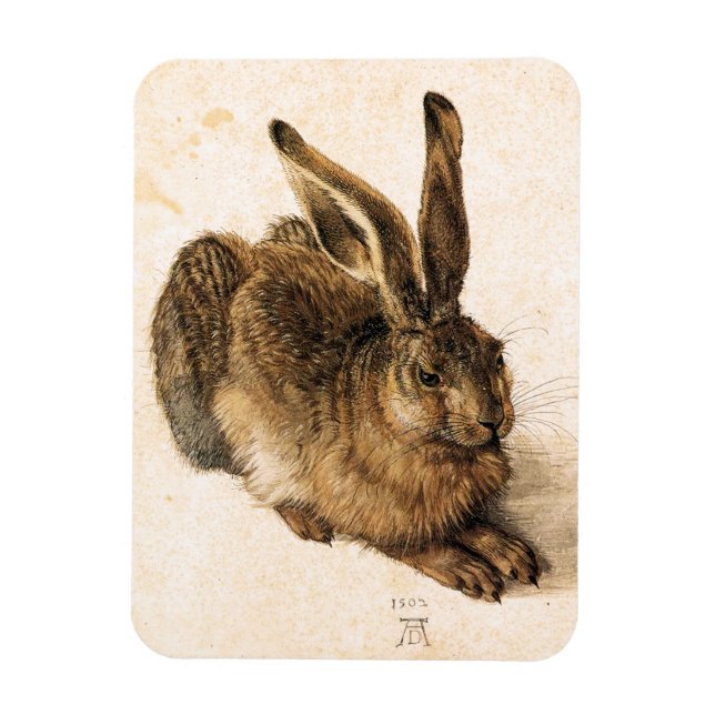 Albrecht Durer Young Hare Magnet (Vertikal)