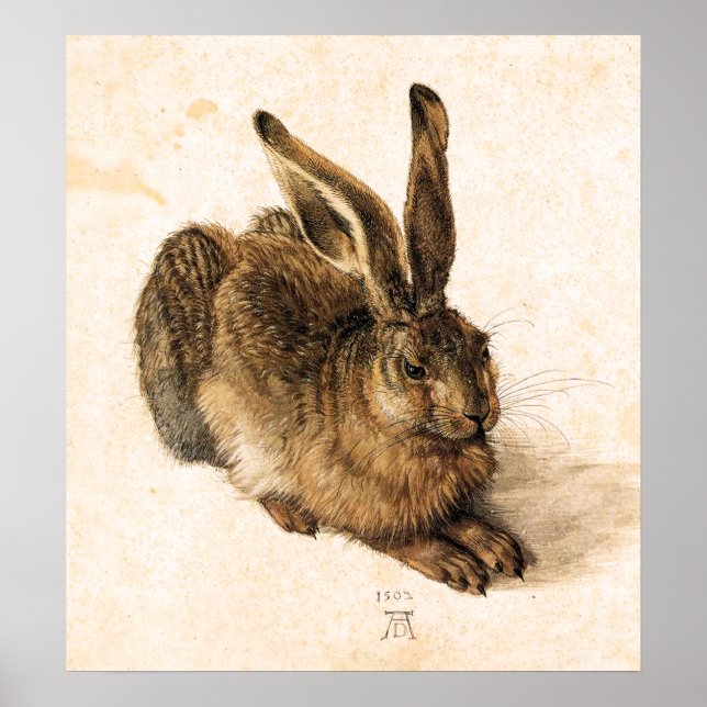 Albrecht Durer Young Hare Poster (Vorne)