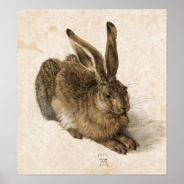 Albrecht Durer Young Hare Poster (Vorne)